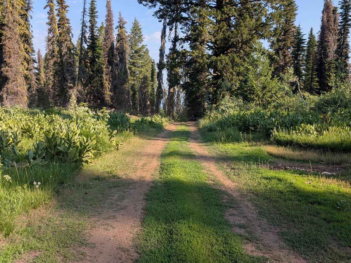 Road 374 - Northern Portion photo 3