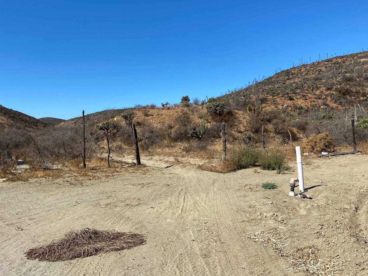 Cerro Pelon photo 5