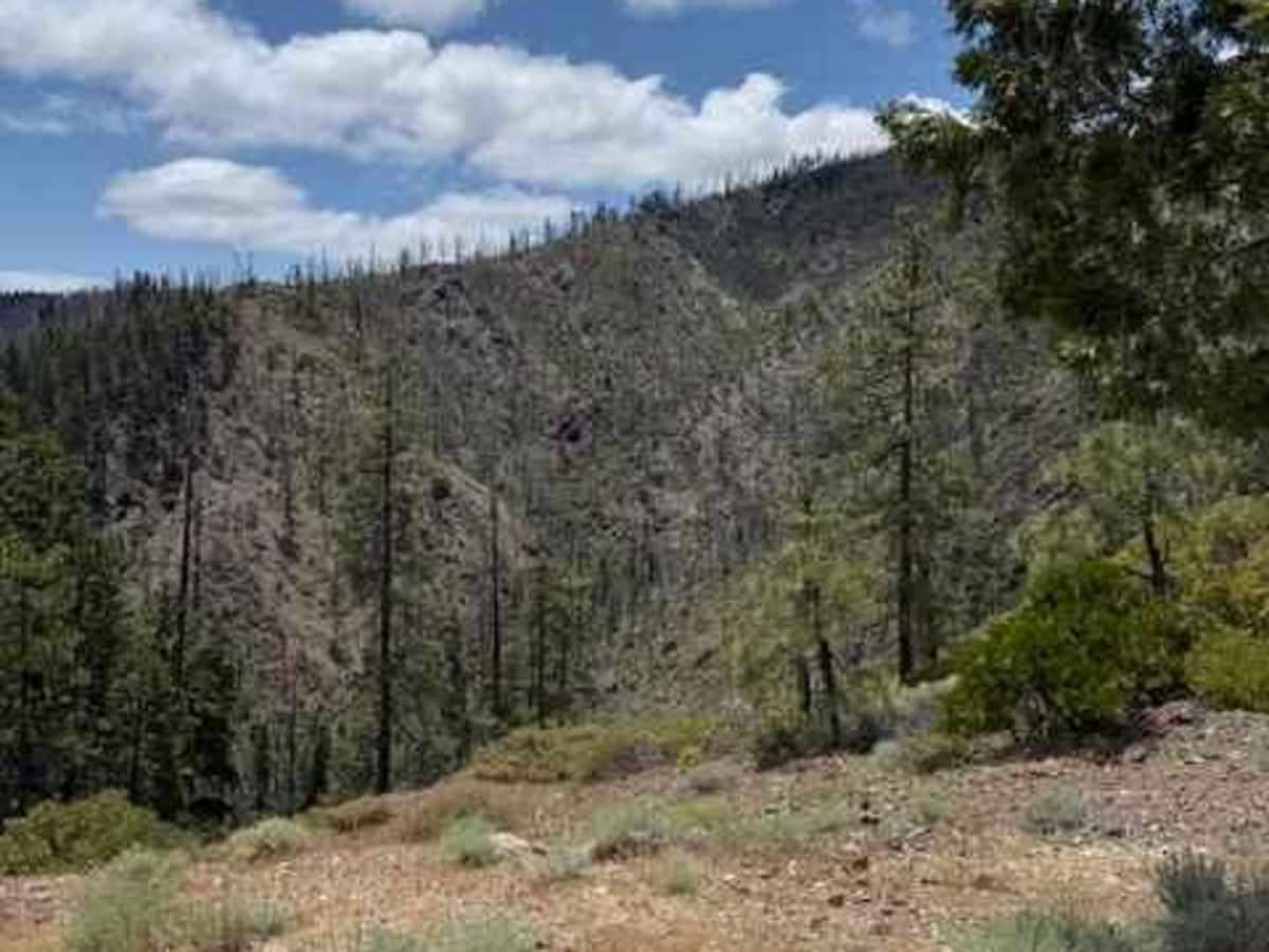 Onion Mountain, Shan Creek photo 6