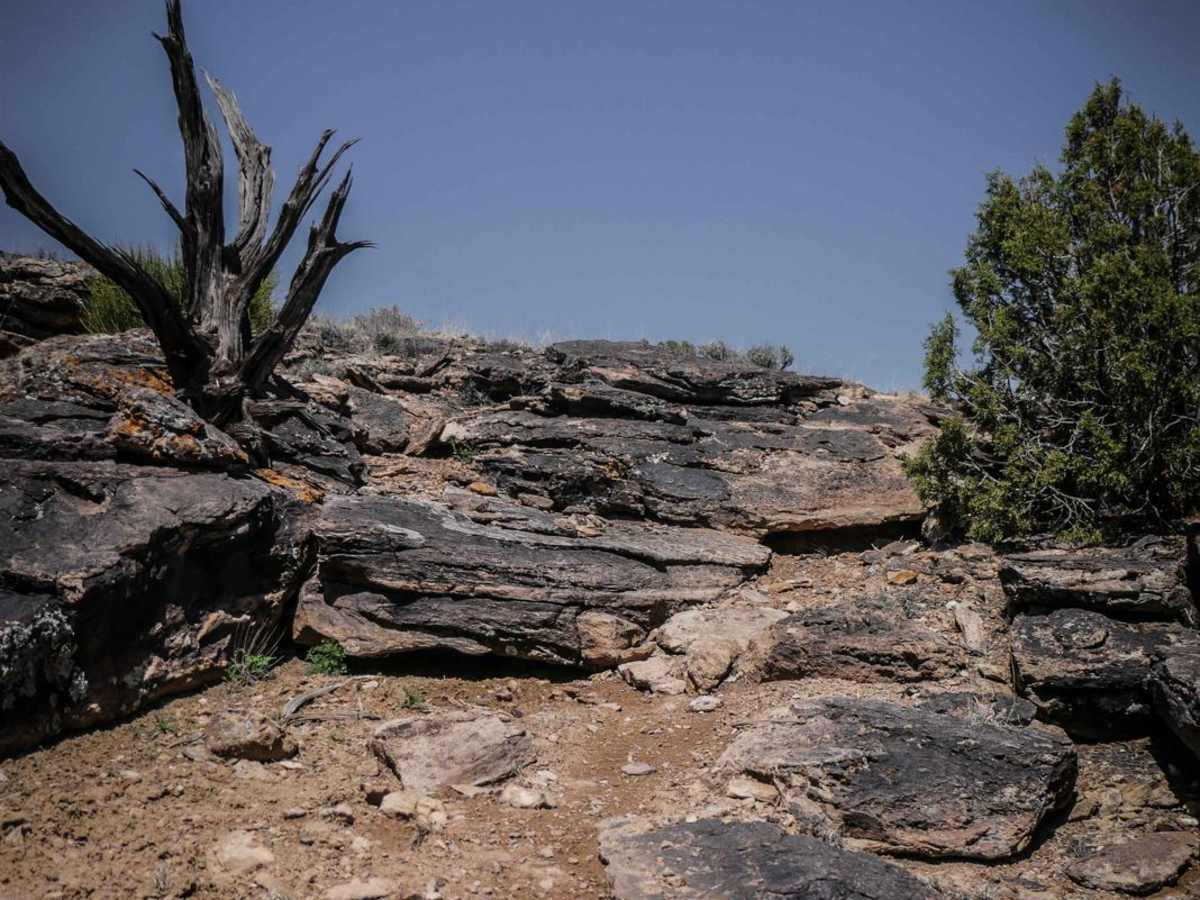 BLM Route 85 photo 4