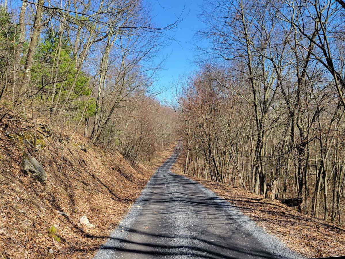 Beidleheimer Trail trail photo
