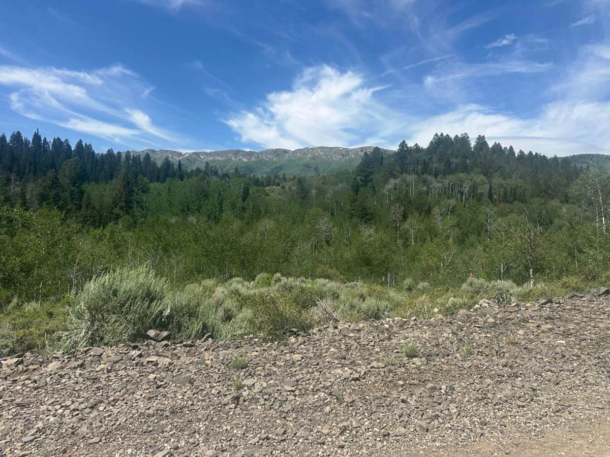 Wells Canyon photo 3