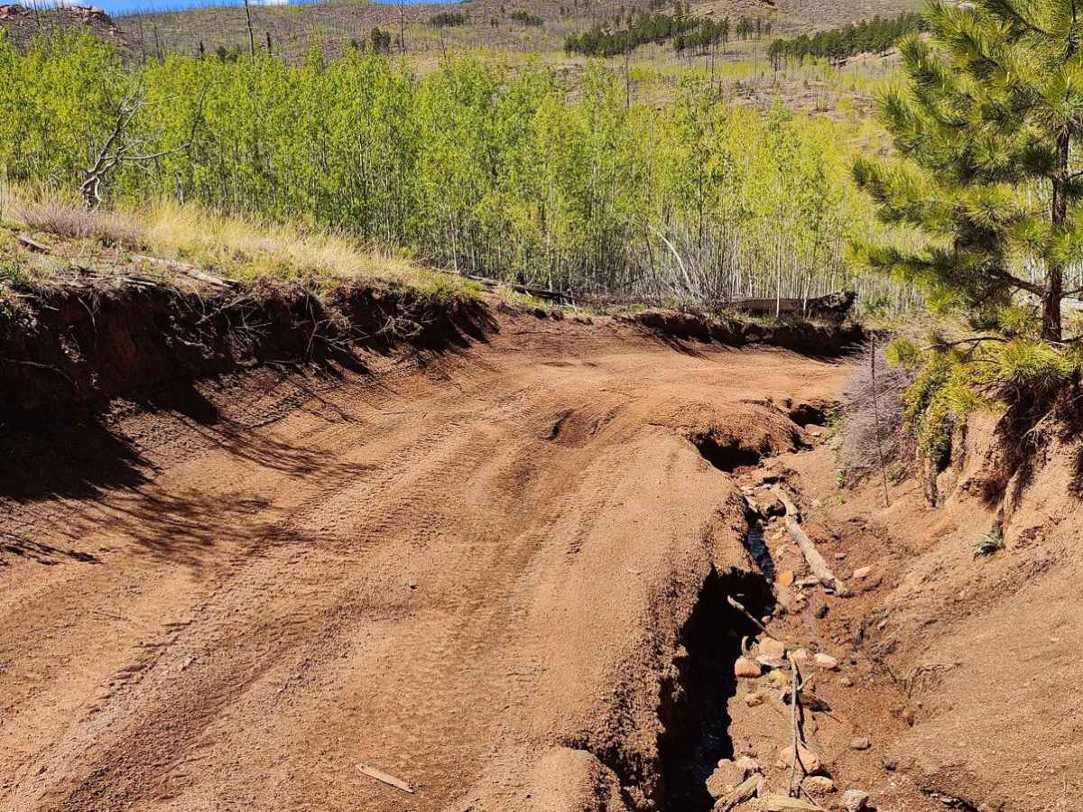 Cedar Mountain Road - Teller County Road 51 photo 2