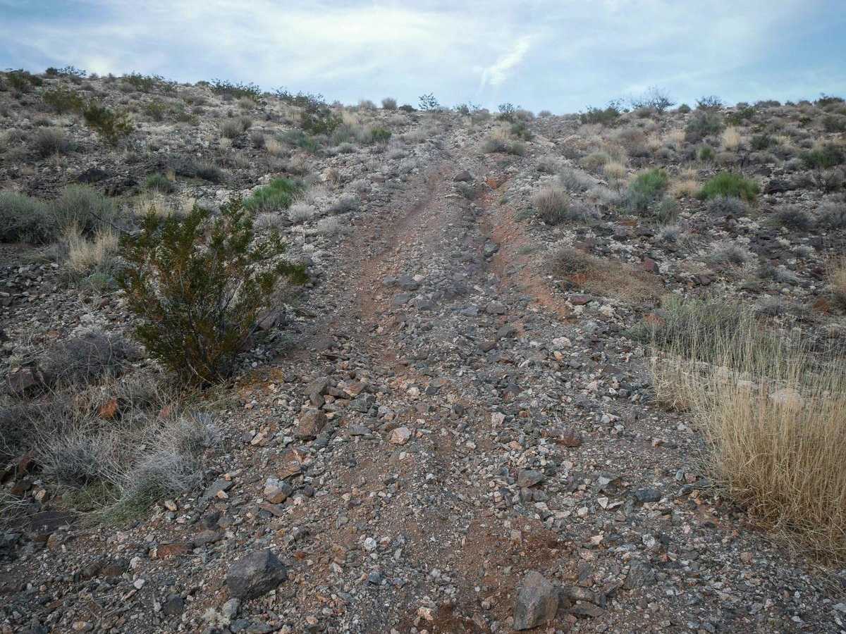Rock Ridge Single Track photo 2