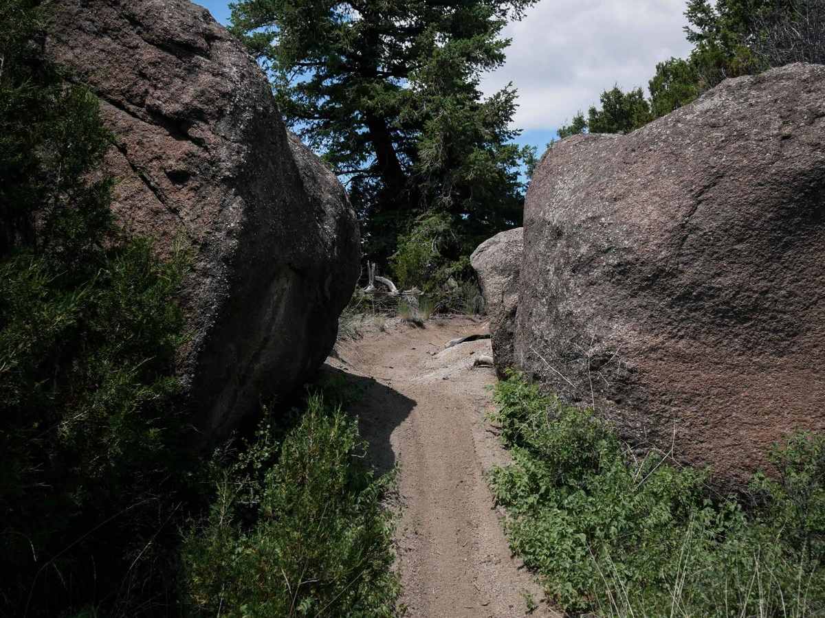 BLM 20 photo 3