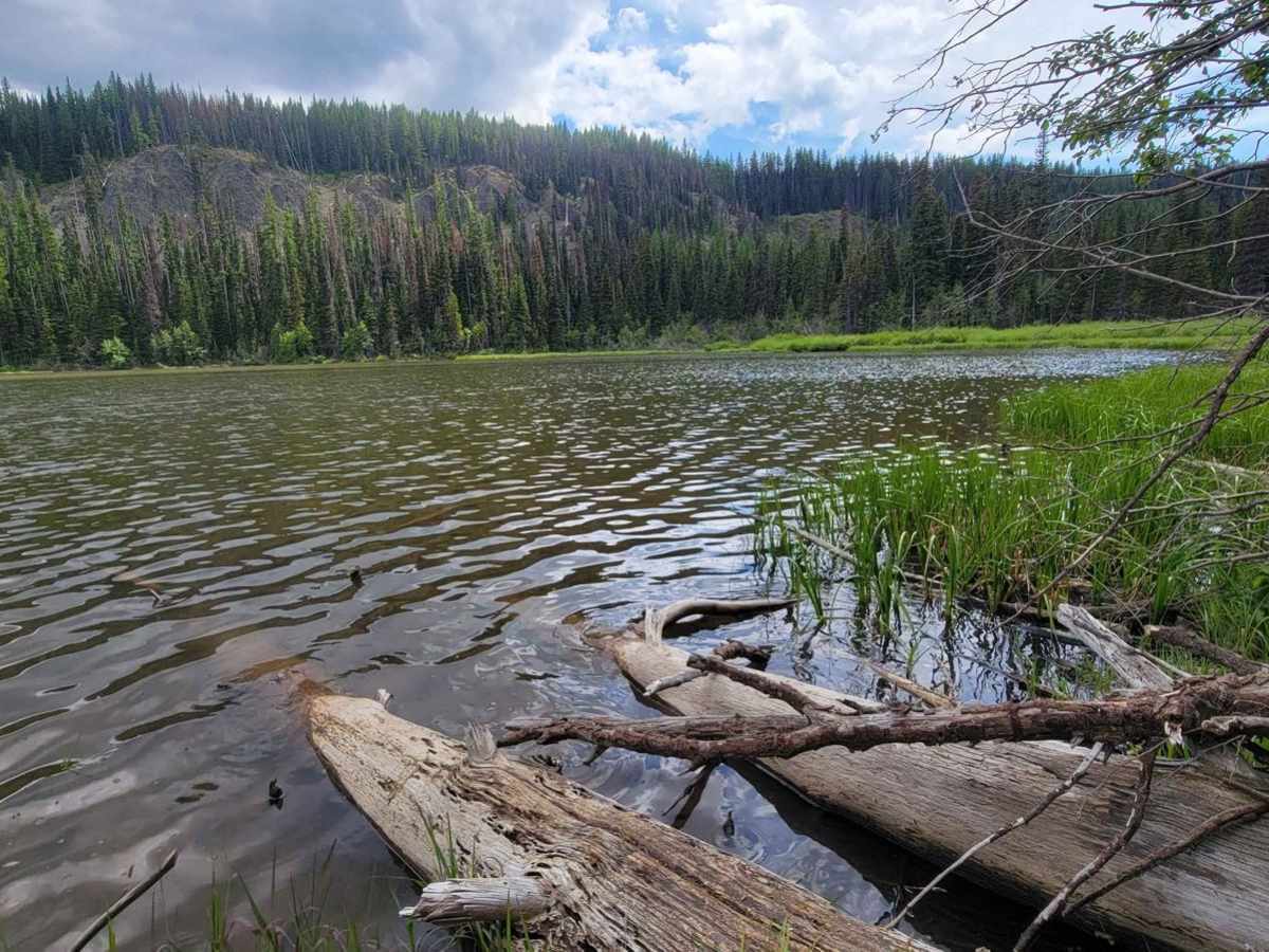 Lost Lake photo 5