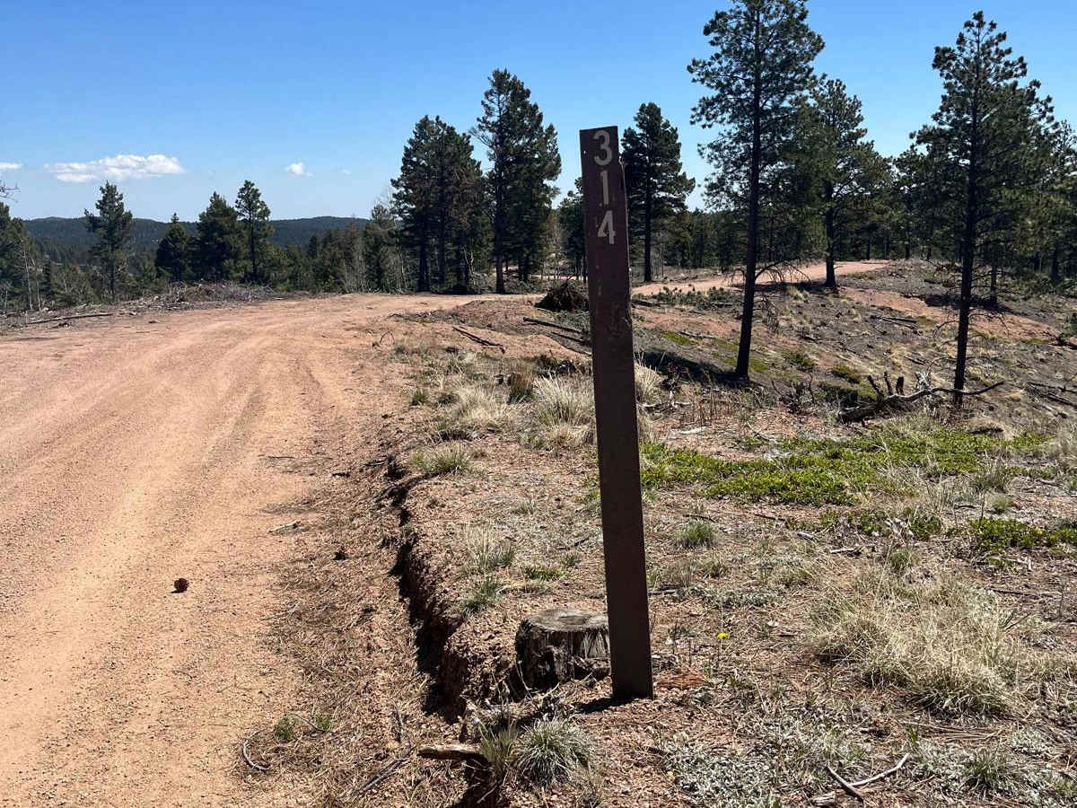 Ensign Gulch Road FR 314 trail photo