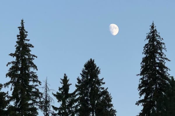 Soda Creek- FS 1172