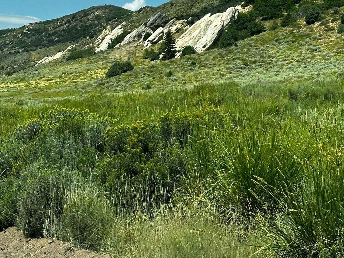 Tabby Mountain Loop photo 6