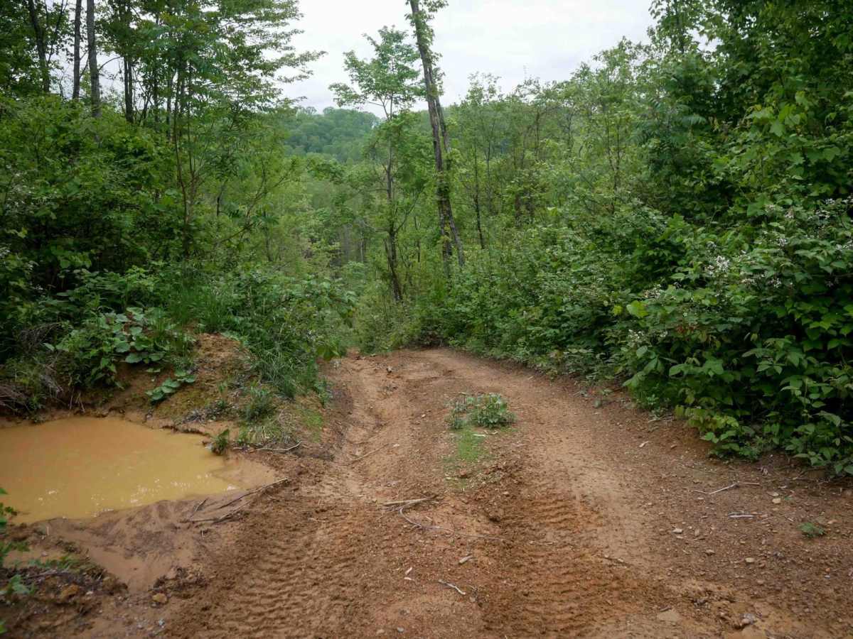 OP 8 trail photo