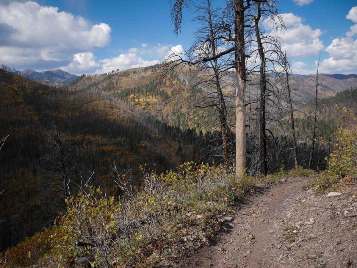 Hermosa Creek trail photo