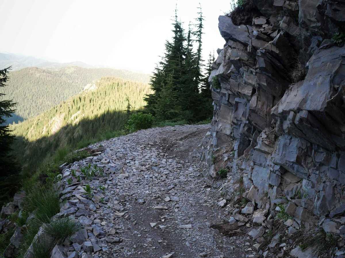 St Joe Divide NRT ATV (Slate Creek to Dam Creek) photo 3