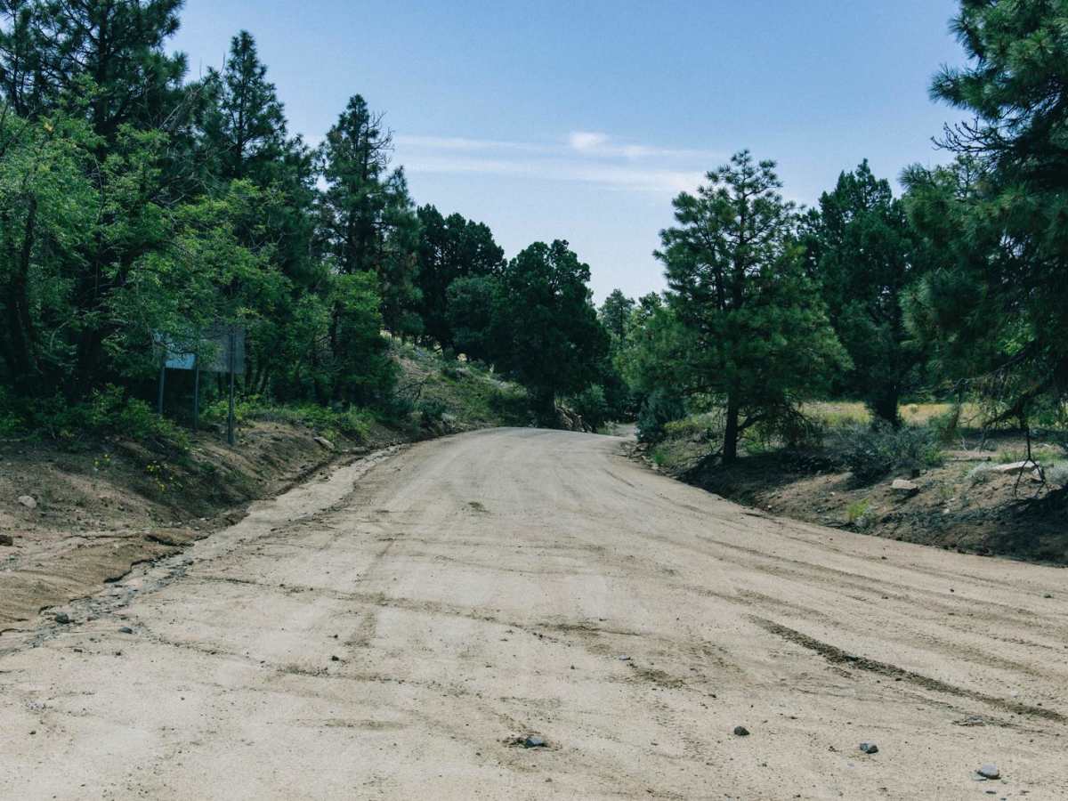 Copper Basin trail photo