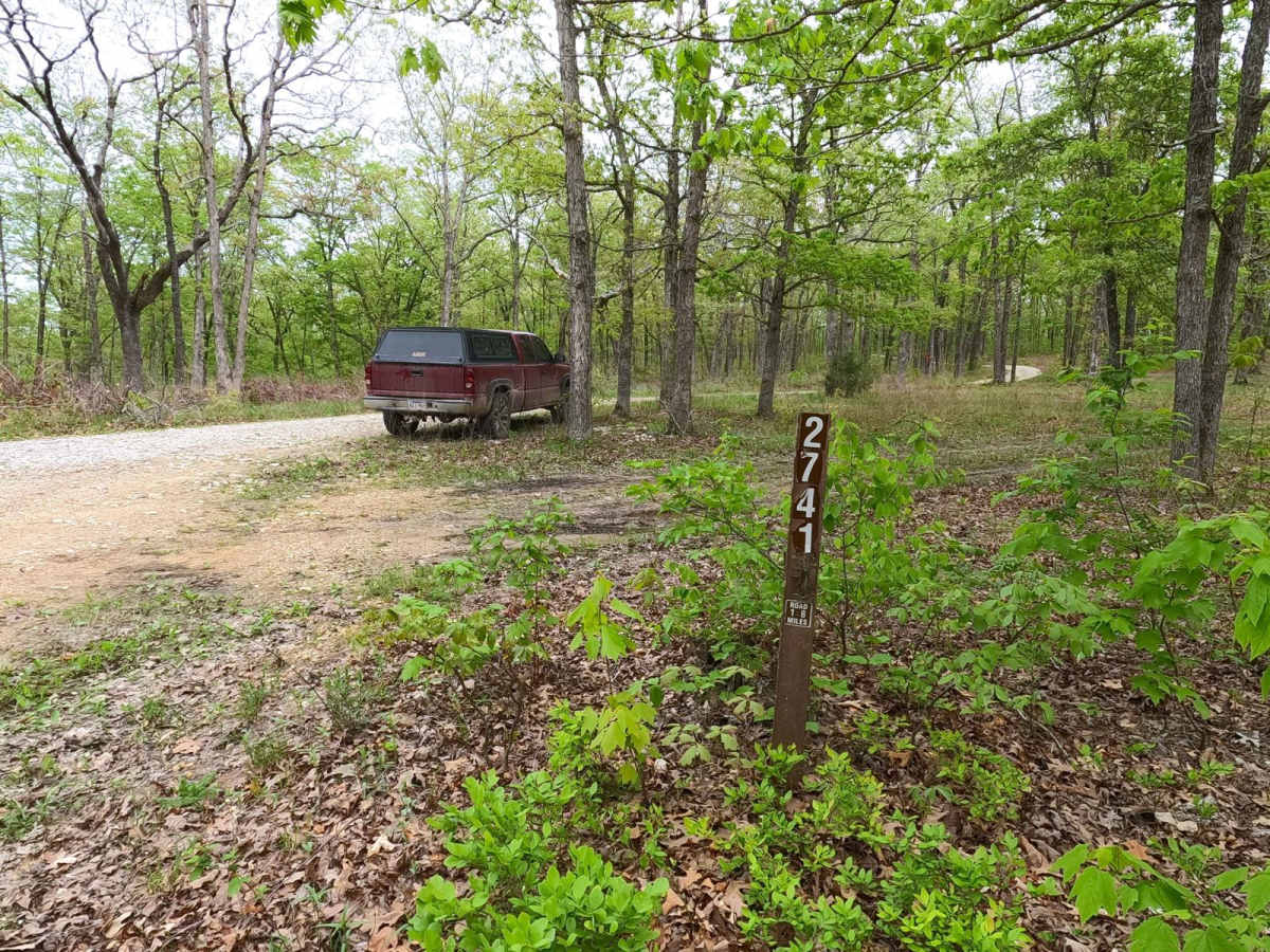James Branch - FS 2741 trail photo