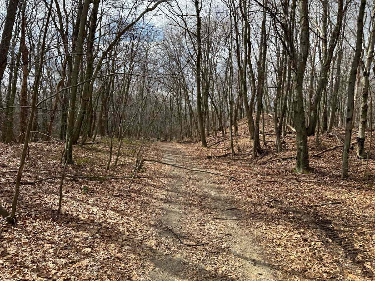 Ashland 101 photo 2