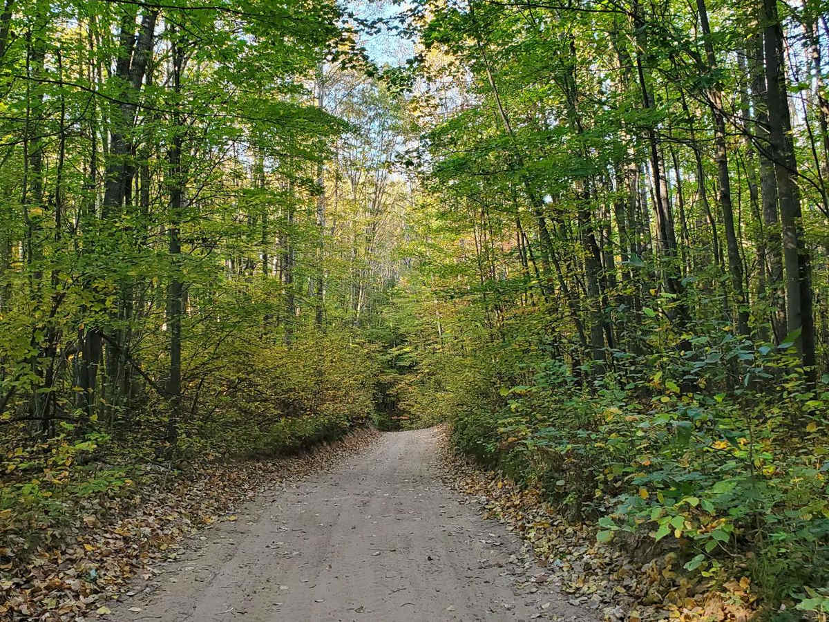 Lincoln Hills Route photo 4