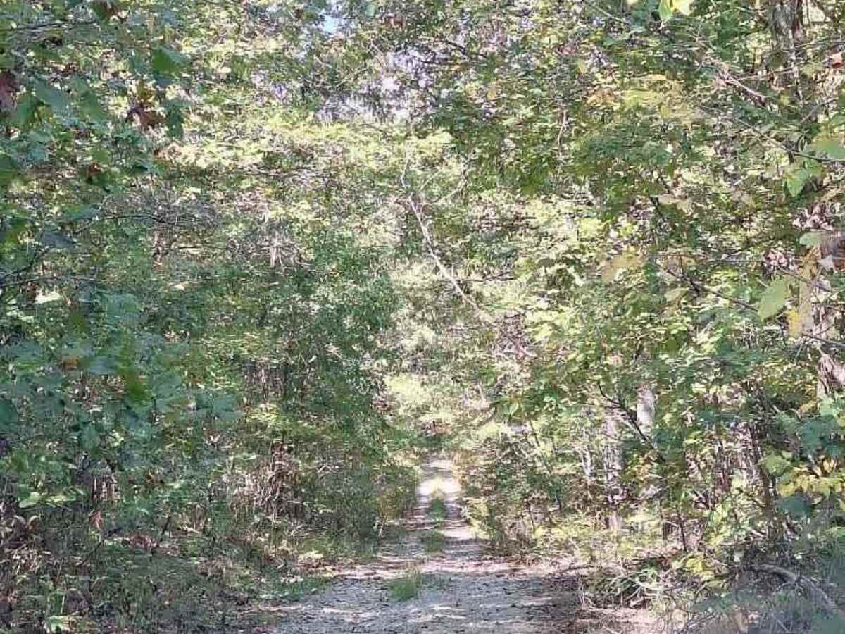 Highline FSR 2472 photo 2