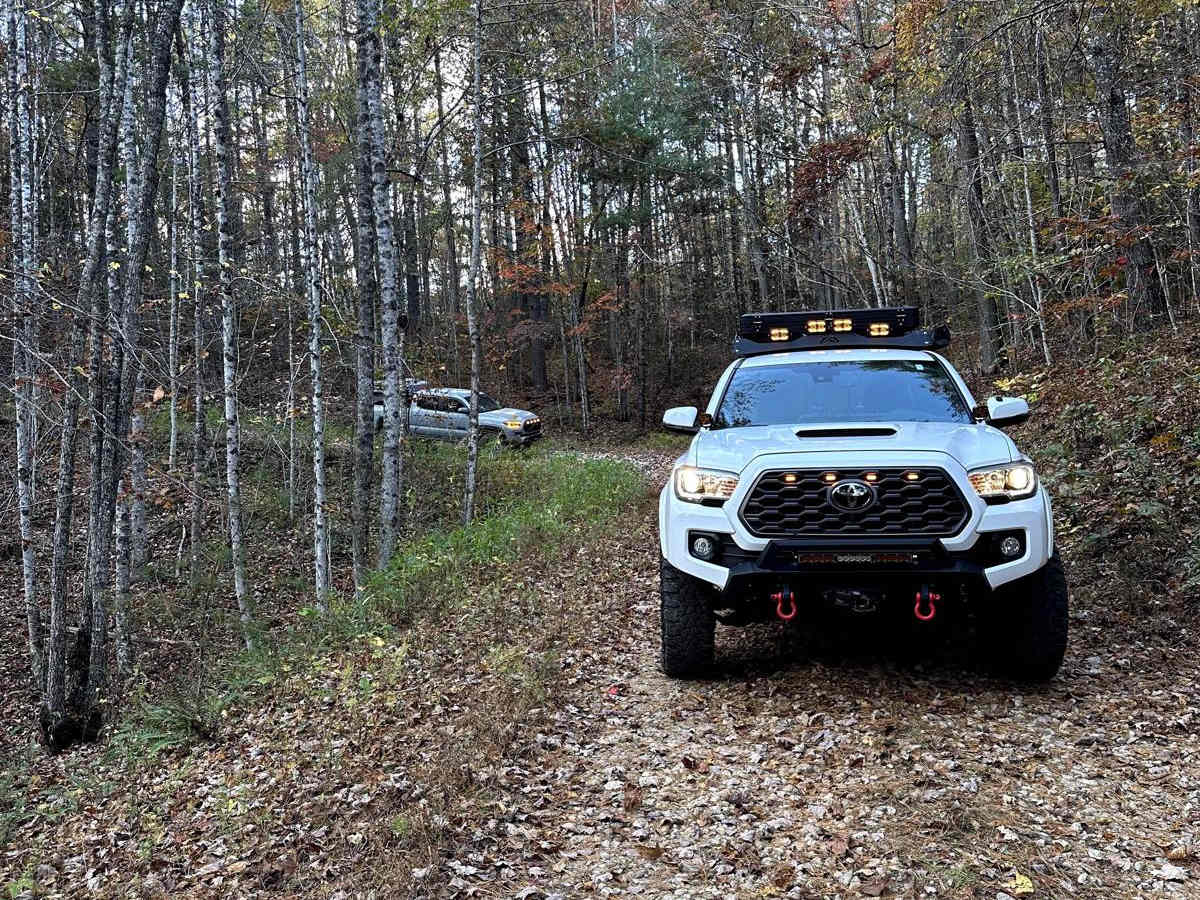 Lick Log Creek trail photo