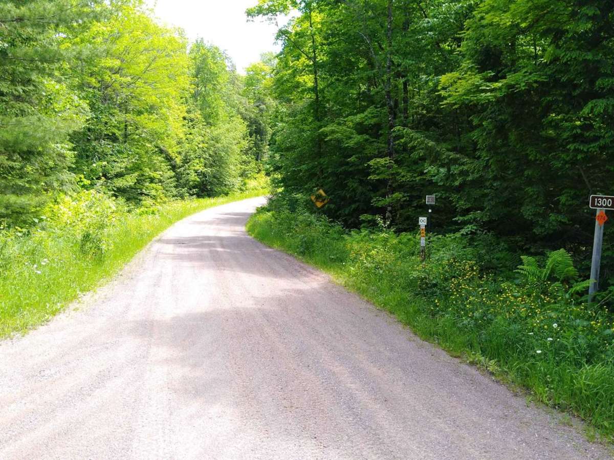 FDR 1300 / Markey Lake Road trail photo
