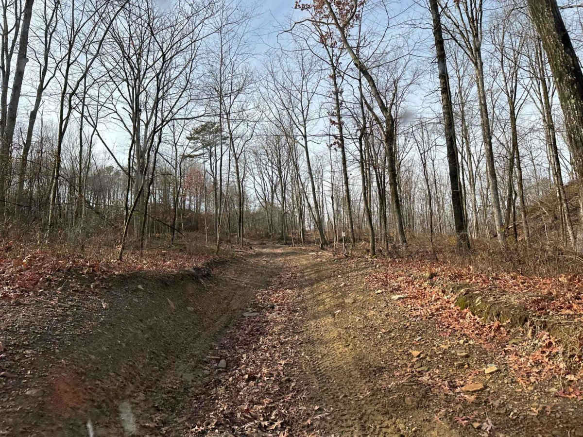 Darkwater 15 trail photo