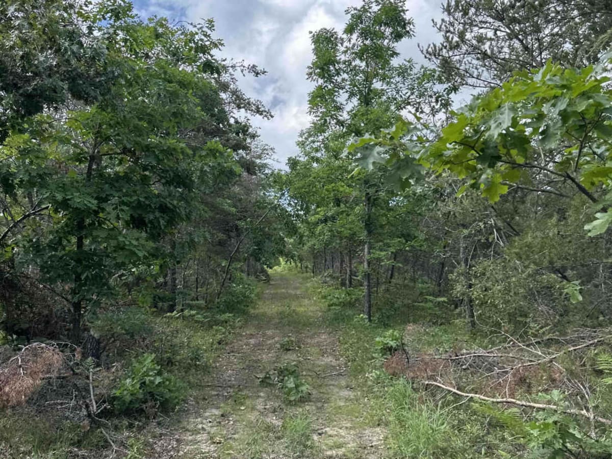 Spring Lake Spur photo 5