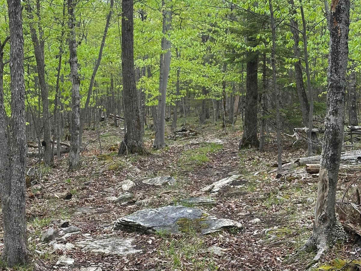 Quarry B photo 4