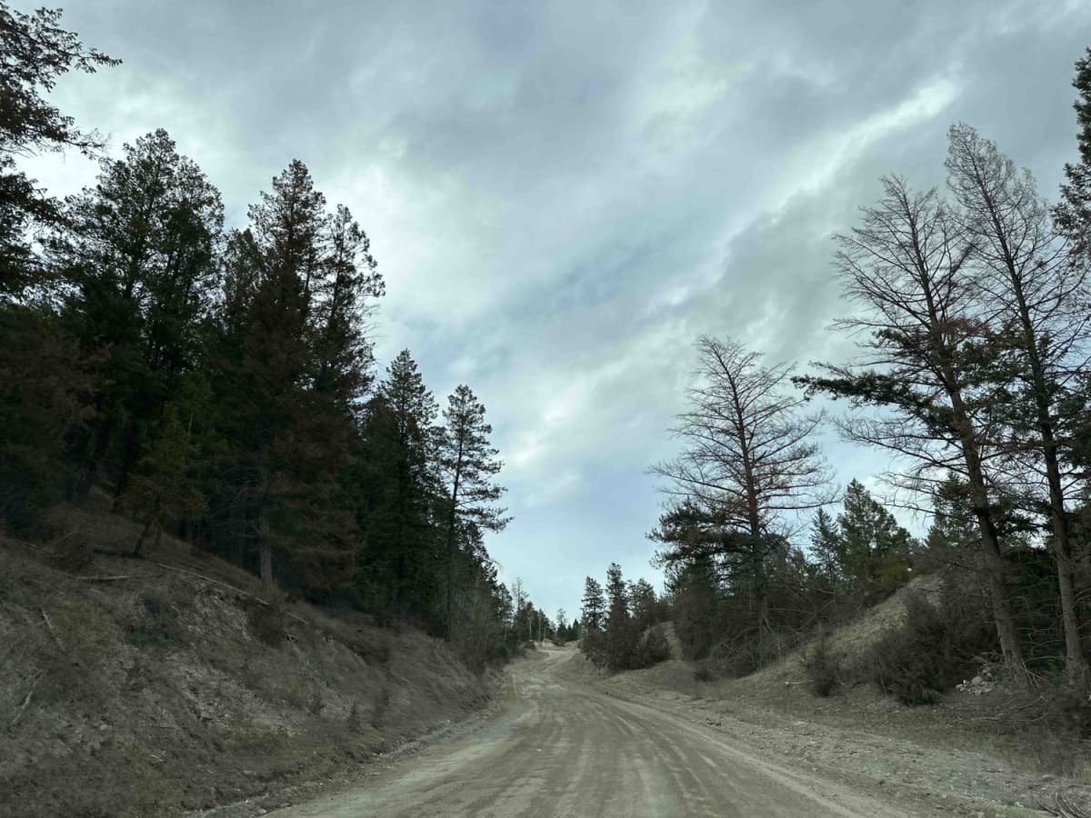 Horsethief Road to 4 Way Stop photo 3