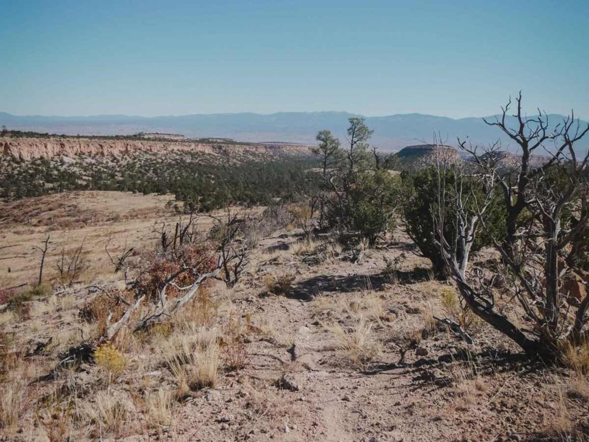 Beanfield Ridge trail photo