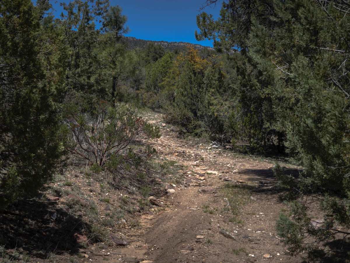 Lee Spring photo 3