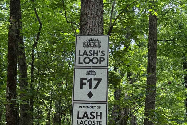 F17 Lash's Loop