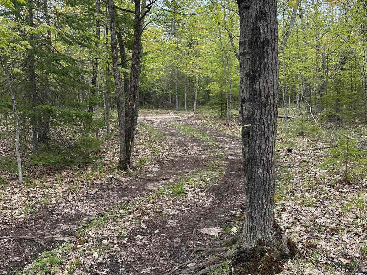 Quarry B trail photo