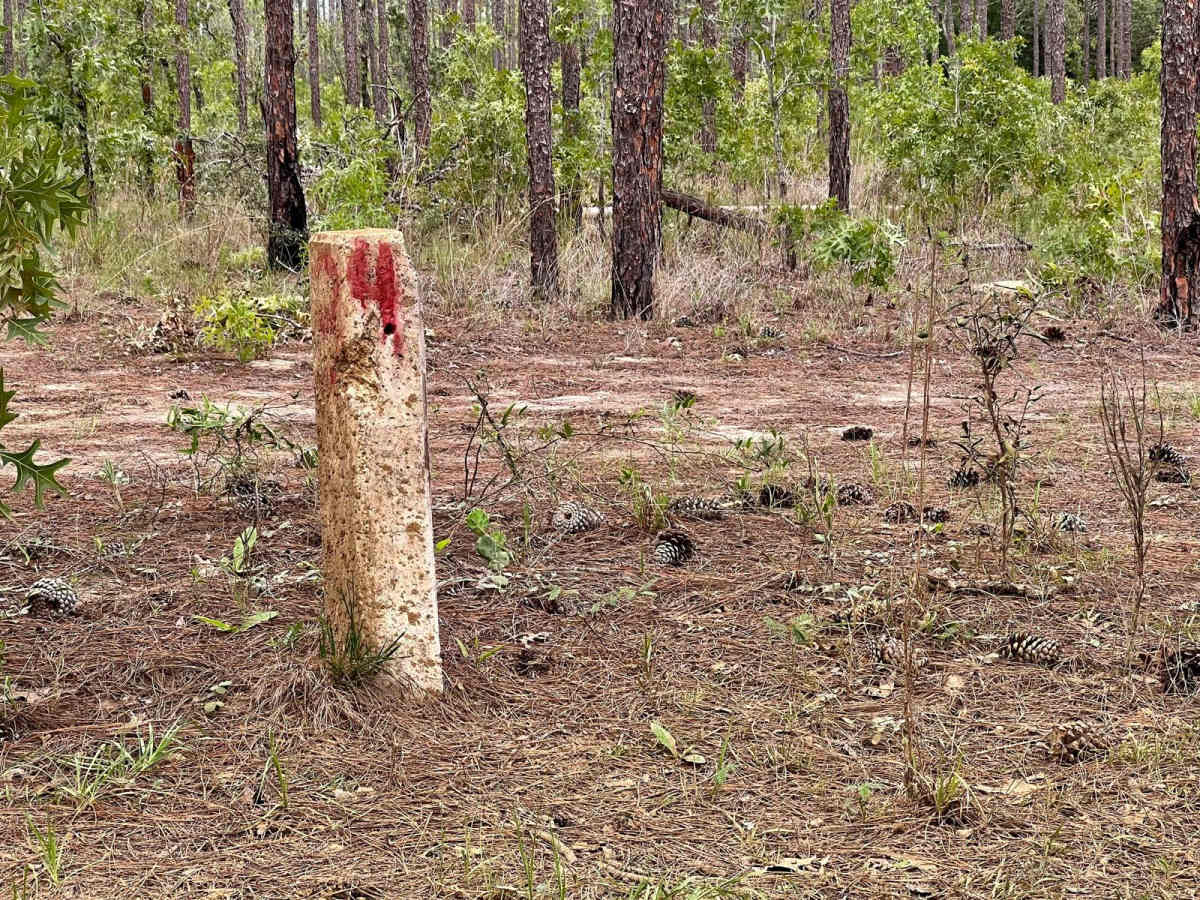 Crooms Wildlife Management | Trail 4 trail photo