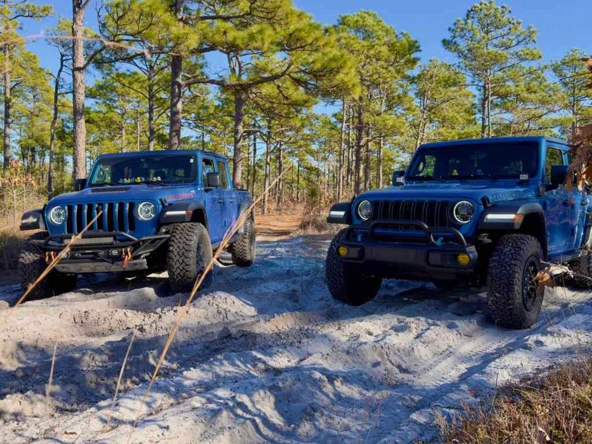 Bogue road spur 2 trail photo