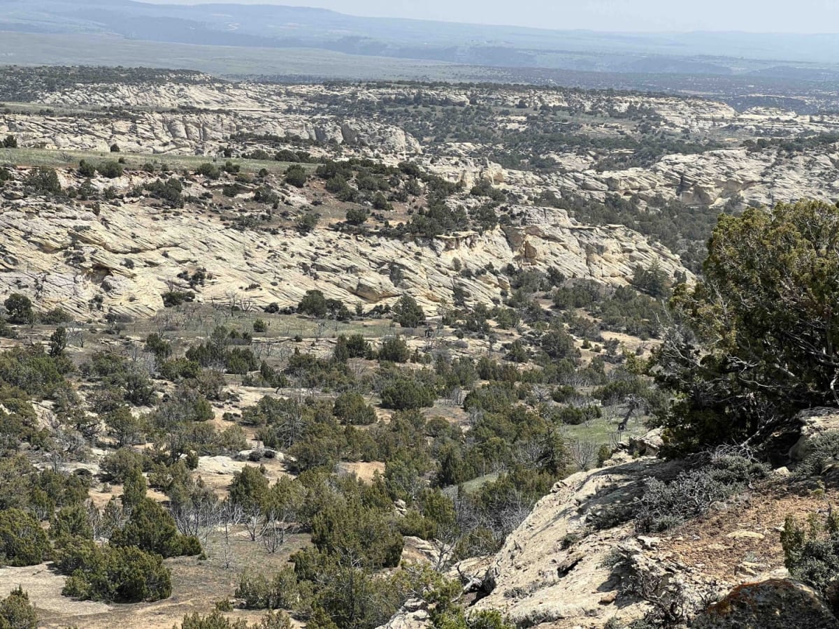 Red Gulch-Alkali Byway photo 6