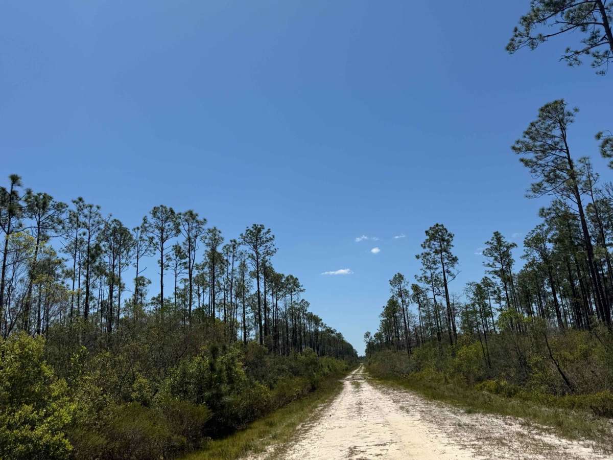 SFR 111 trail photo