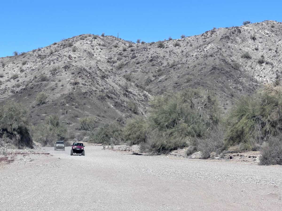 Lower Mohave Wash photo 5