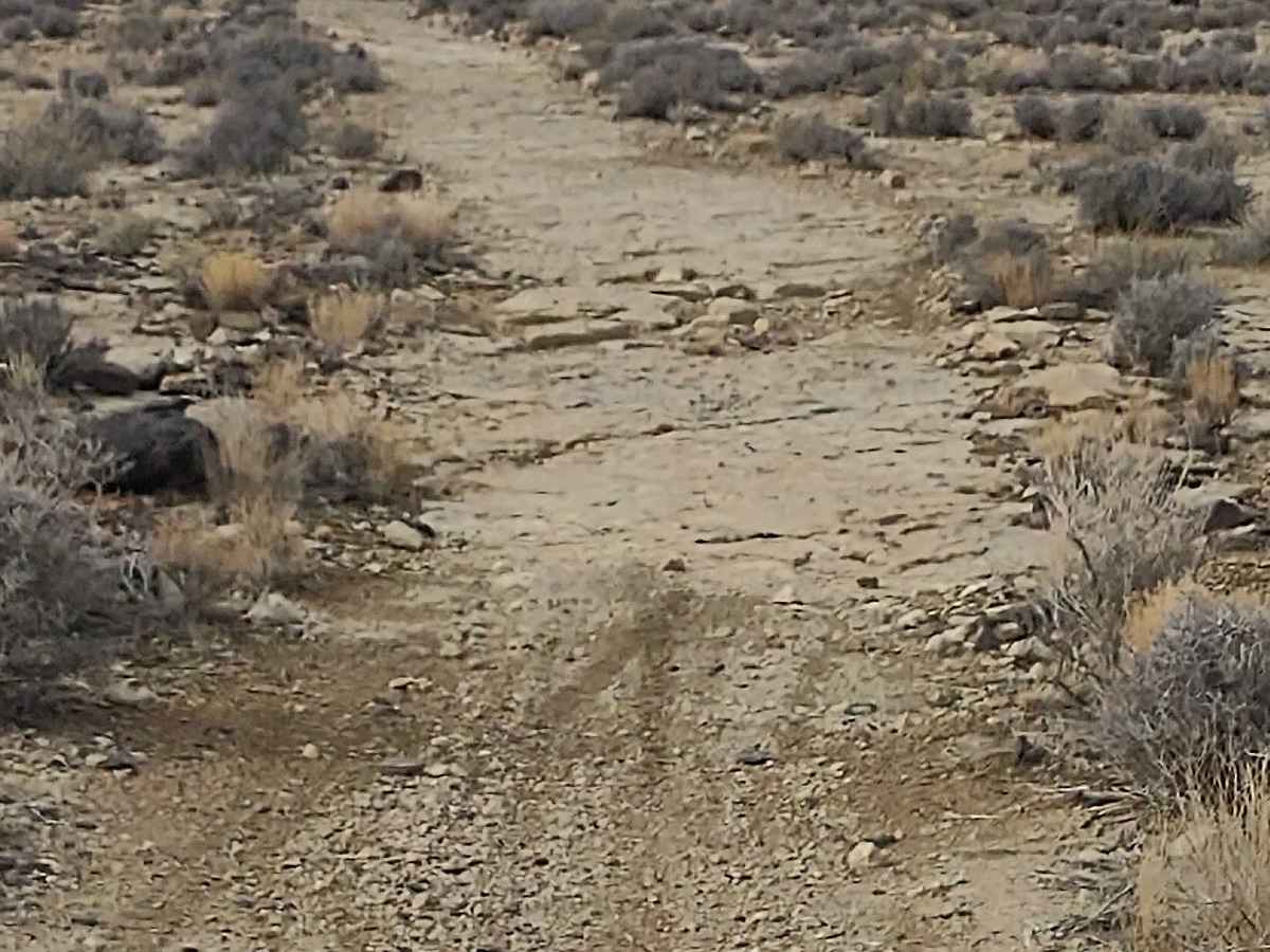 Sand Hollow Trail #2043 photo 4