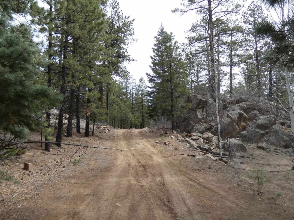 Big Rock photo 4