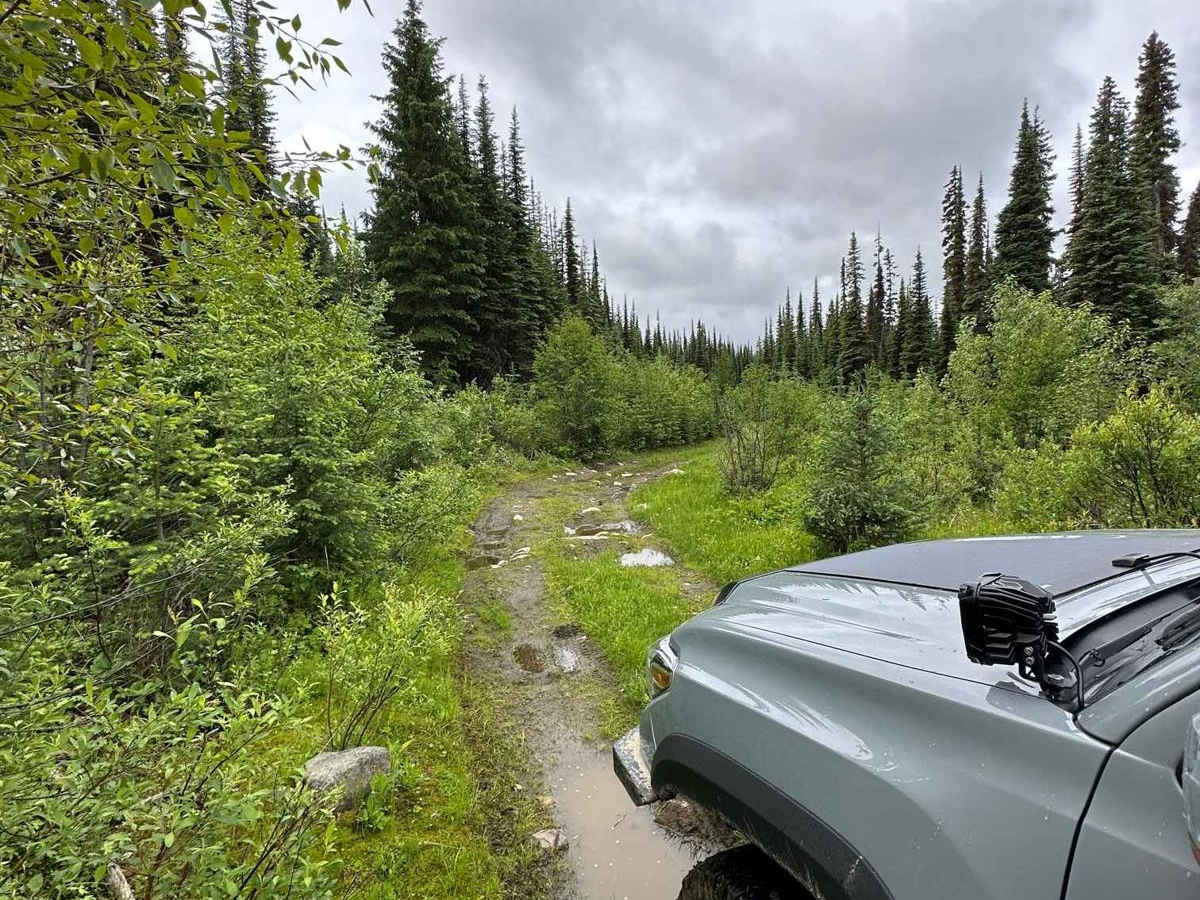 Jamieson Creek Road to Allan Lake photo 4