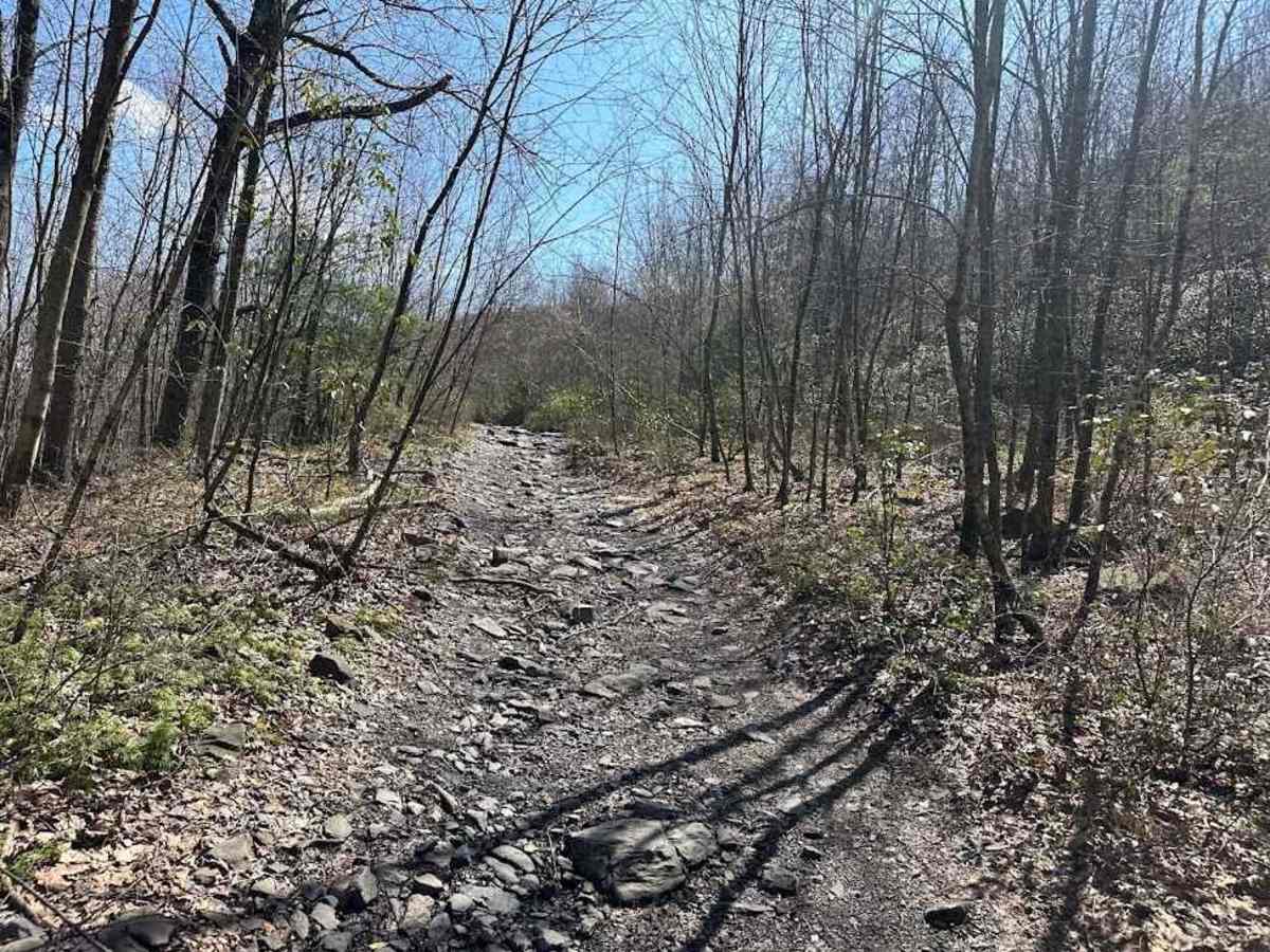 Ashland 121 photo 2
