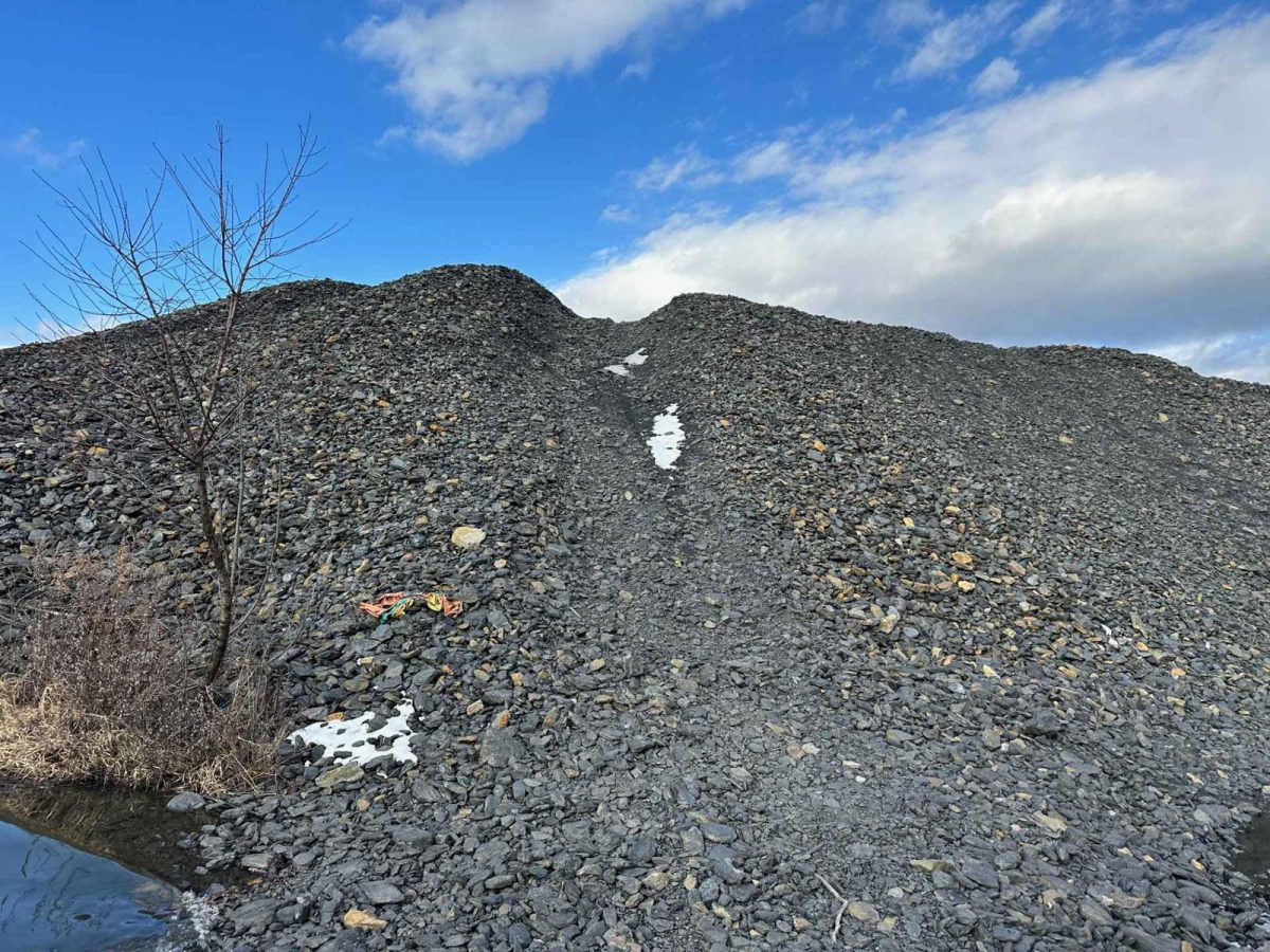 Locust Gap 50 photo 5