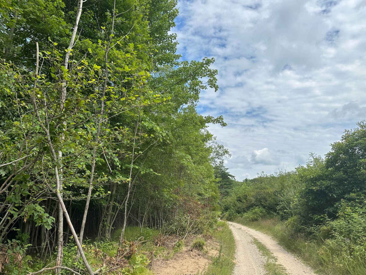 Langston Trail photo 3