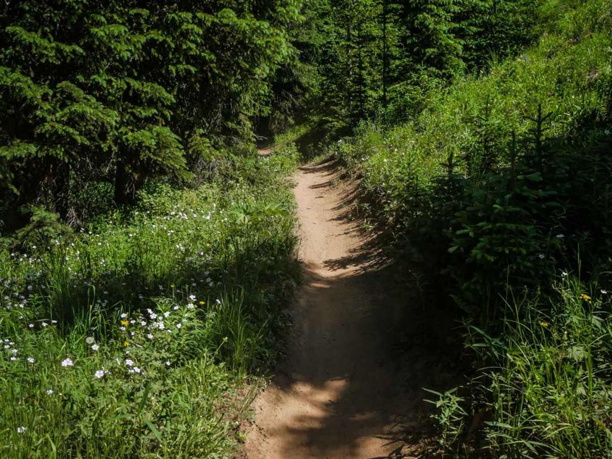 Walrod Gulch Trail photo 5