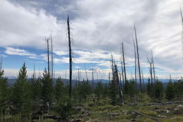 Mink Creek to Highway 43