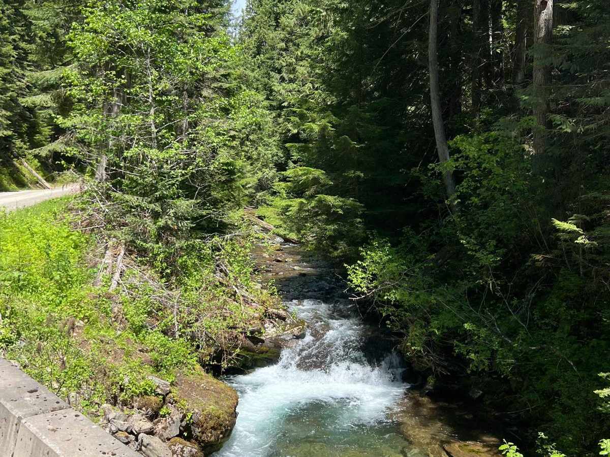 Bird Creek Divide trail photo