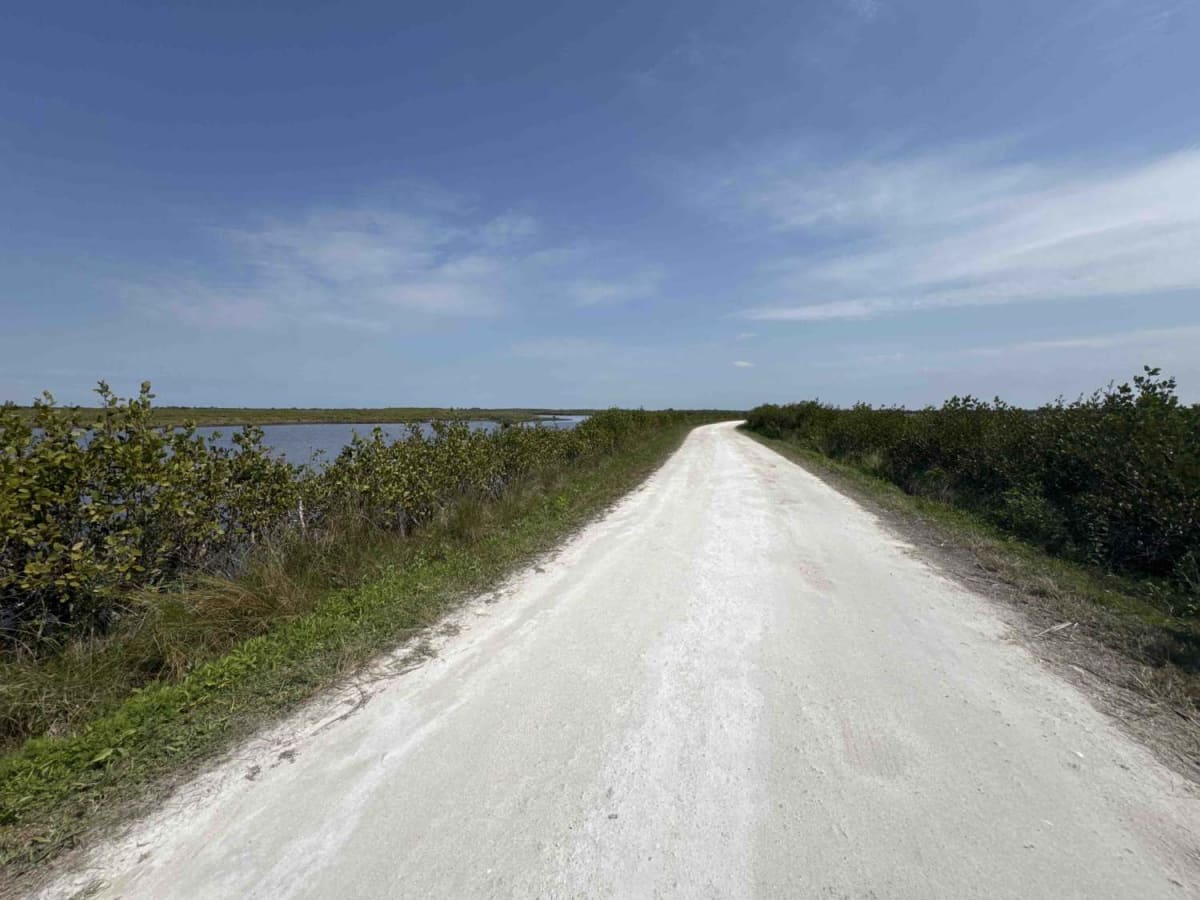 Gator Creek Road photo 4