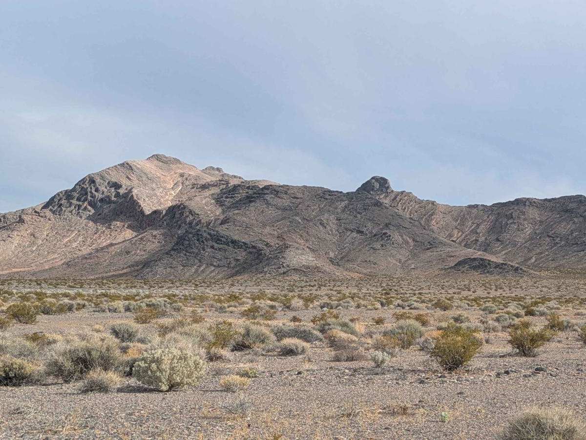BLM 927827 photo 3