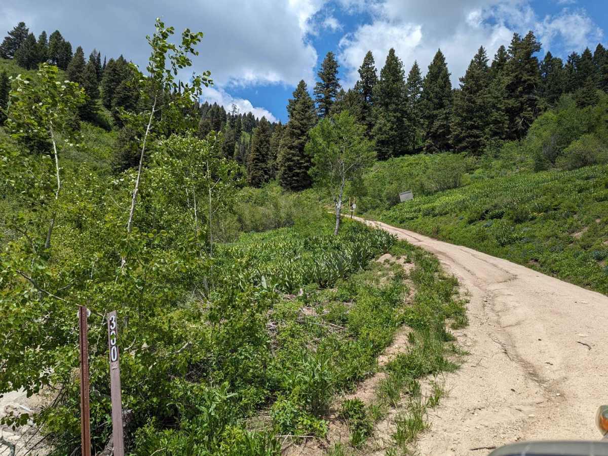 Pilot Peak/Summit Flat 380 photo 4