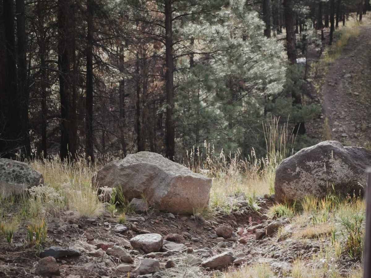 Pipeline trail photo