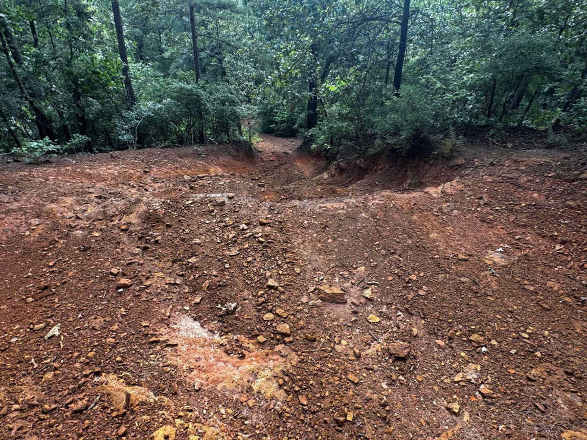 Venom Loop trail photo